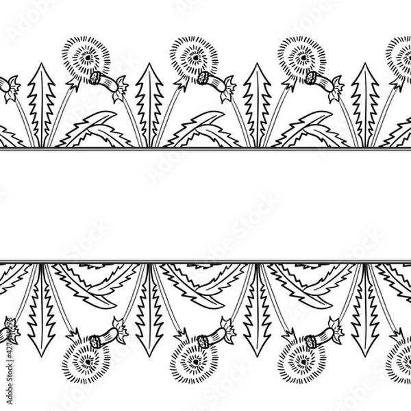Obraz dandelion frame border dd ww herb isol
