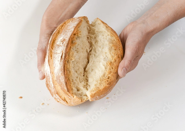 Obraz Baker's hands with broken white bread