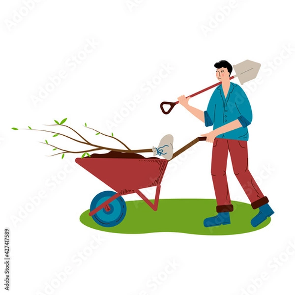 Fototapeta A young man is rolling a tree for planting in a wheelbarrow. The man carries a shovel on his shoulder and rolls a wheelbarrow. A hobby is gardening. Flat style Vector Illustration.