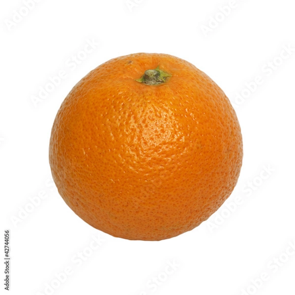 Obraz A large orange isolated on a white background