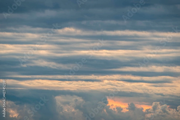 Fototapeta 朝焼けの雲