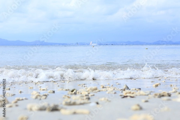 Obraz 打ち寄せる波