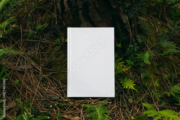 Obraz book with blank cover and empty cover perched in a forest