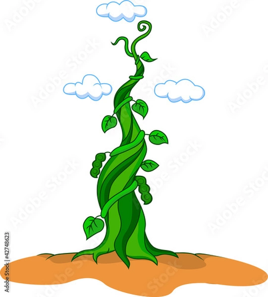 Obraz beanstalk