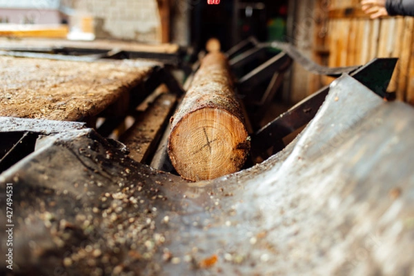 Fototapeta a log on a conveyor belt. transportation of wood raw materials at the plant. wood processing on a sawmill. automated conveyor