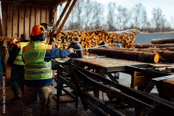 Fototapeta the worker directs the log to the conveyor. a person works in a protective form on a sawmill. automated woodworking in an industrial enterprise