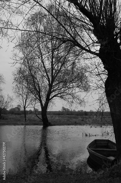 Obraz Tranquil black and white spring scenery