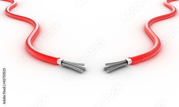 Fototapeta Two wires