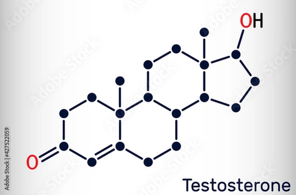 Fototapeta Testosterone, testosteron molecule. It is androgenic steroid sex hormone. Skeletal chemical formula.