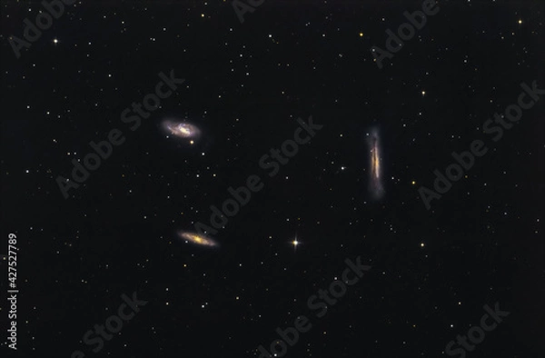 Obraz Tripletto del Leone