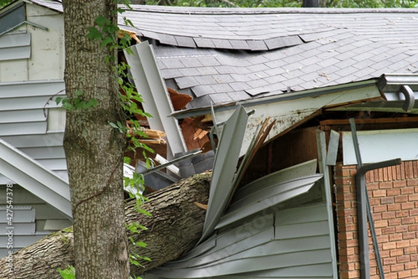 Fototapeta Tree Falls Ripping Into the Side of a House Destroying It