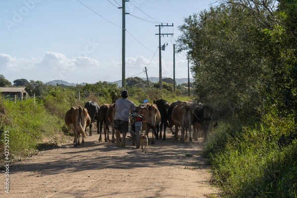 Fototapeta Engarrafamento
