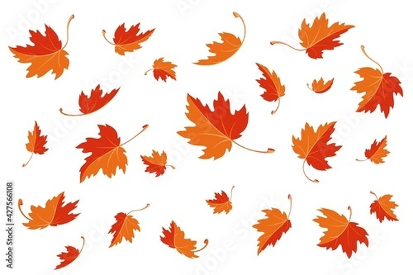 Fototapeta Maple leaves. Autumn background template with flying and falling leaves. Pattern of red and orange autumn leaves. Isolated. Vector illustration