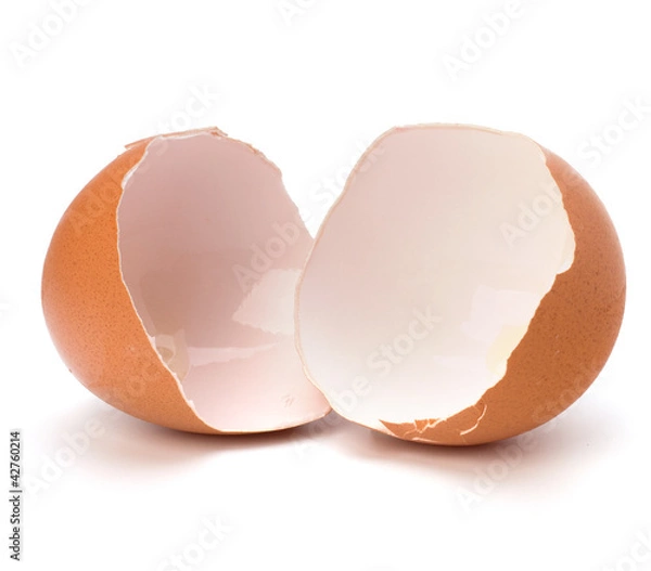 Obraz rozbita skorupa jajka