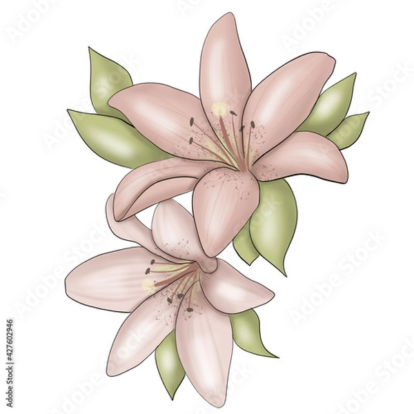 Obraz Flowers Bouquet Background Hand Drawn Illustration	