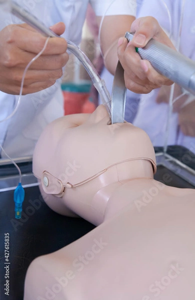 Obraz Closeup of hands demonstrate process of endotracheal tube intubation to manikin doll via plastic box. Respiratory failure, hypoxia, coronavirus infection concept.
Blue tone image. Selective focus