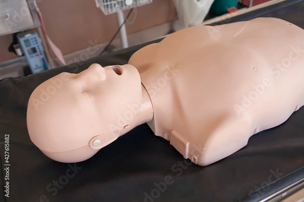 Obraz Medical manikin on stretcher. Dummy, equipment for demonstrate and practice medical procedure. Side view. Selective focus