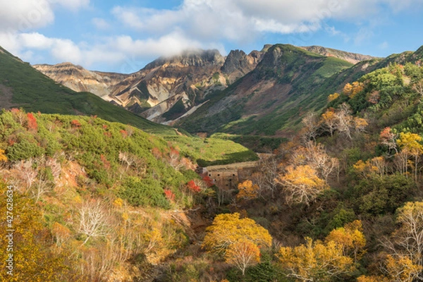 Fototapeta 十勝岳温泉の紅葉