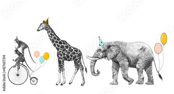 Obraz Beautiful image with safari animal birthday party. Monkey on bike giraffe and elephant with baloons. Stock illustration