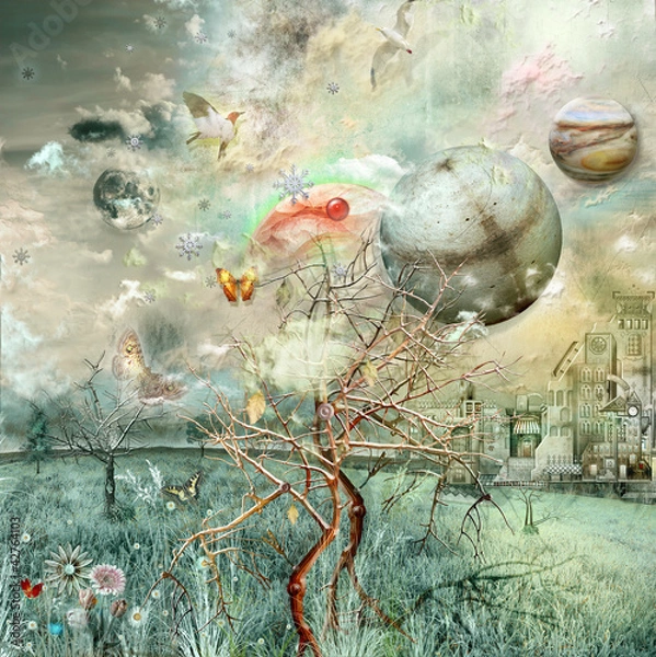 Fototapeta Delightful view.