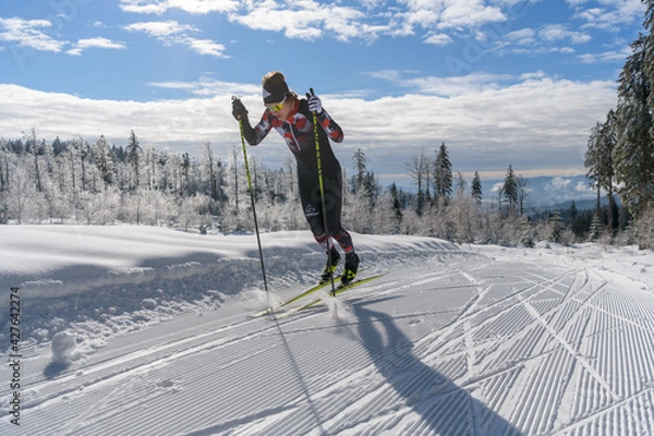 Obraz Langlauf nordisch
