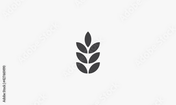 Fototapeta wheat leaf icon. isolated on white background. vector illustration.