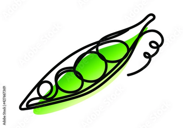 Fototapeta Vector illustration of pea pod in one line endless style. Green abstract spot background. Can be applied as a sticker, icon, logo.
