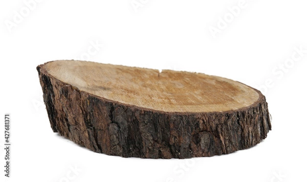 Obraz Wooden saw cut of an old birch, top view, cutting board