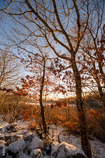 Obraz Tasta, Stavanger, Norway