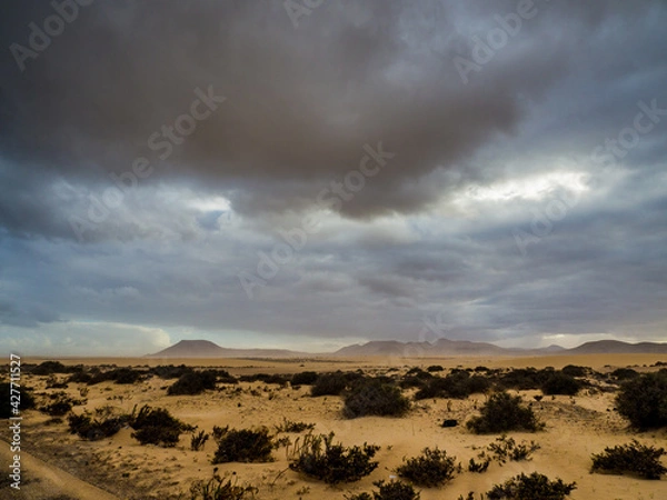 Obraz Pustynia, Fuerteventura