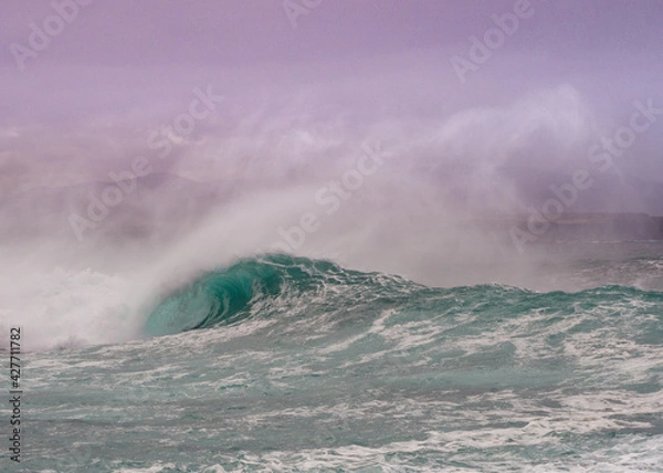 Obraz Fale, Fuerteventura
