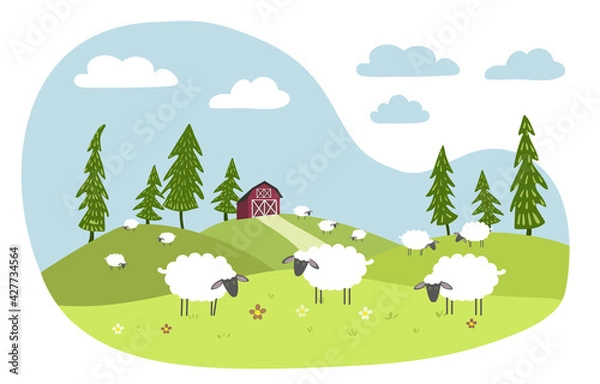 Fototapeta White sheep with black muzzles graze in a meadow. Red farm in the background. 