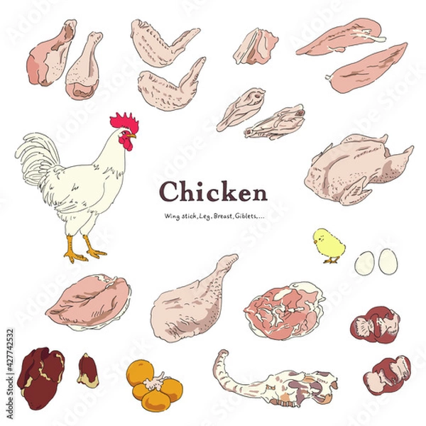Obraz 鶏肉のイラストセット-手描き