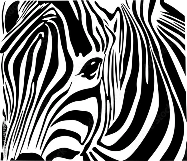 Obraz Zebra