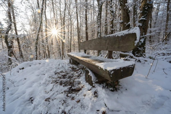 Obraz bench in sunny winter day