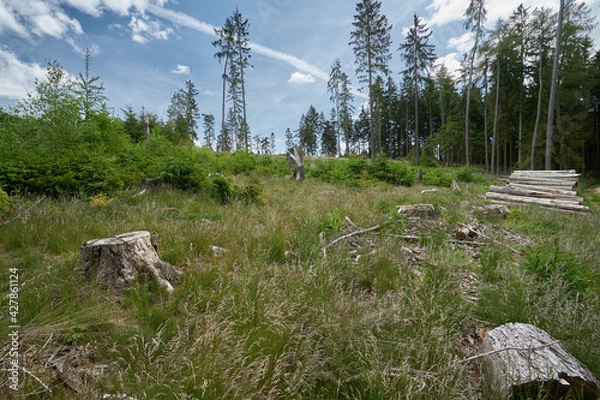 Obraz Taunus - Hessen || Wanderlust