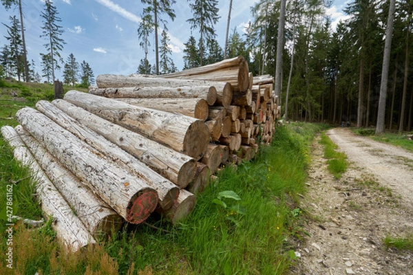 Obraz Taunus - Hessen || Wanderlust