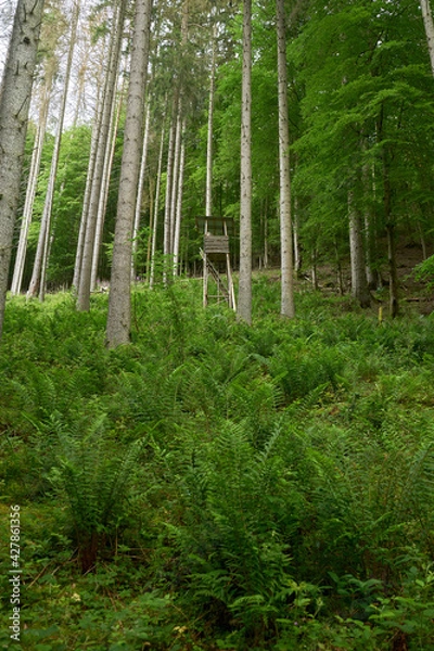 Fototapeta Hunting Pulpit || Wanderlust