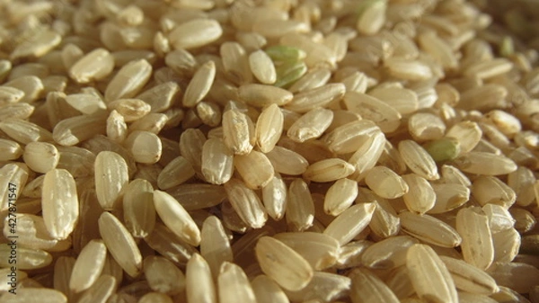 Obraz Arroz integral