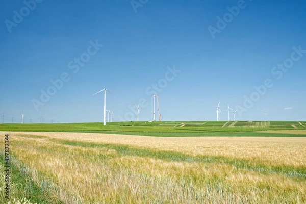 Fototapeta Windräder || Rheinhessen