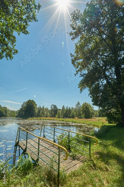 Obraz Lake at sunny day