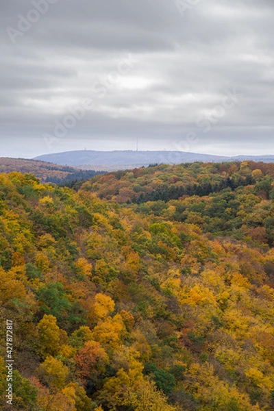 Obraz Donnersberg im Herbst || Wanderlust
