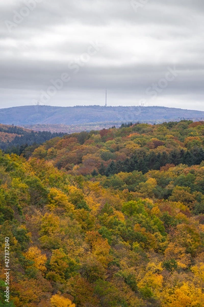 Obraz Donnersberg im Herbst || Wanderlust