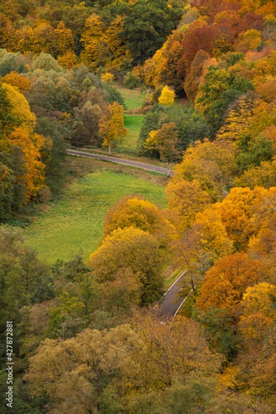 Obraz Herbst Rheinhessen || Wanderlust