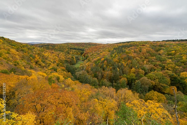 Fototapeta Herbst Rheinhessen || Wanderlust