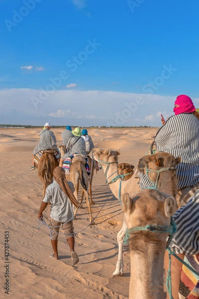 Fototapeta A caravan of people on camels moves through the sands of the Sahara Desert