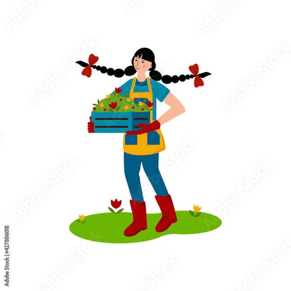 Fototapeta The girl carries a box with seedlings of flowers. Spring work in the garden. A hobby is gardening. Flat style Vector Illustration.