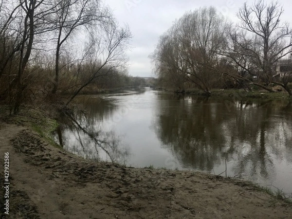 Obraz river in the forest