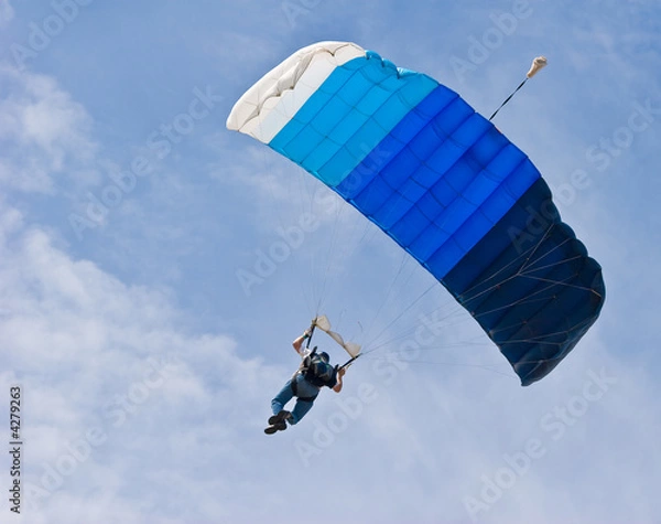 Obraz Skydiving