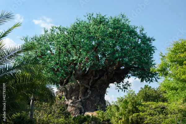 Obraz trees in the park